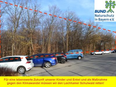 Um diesen Wald geht es